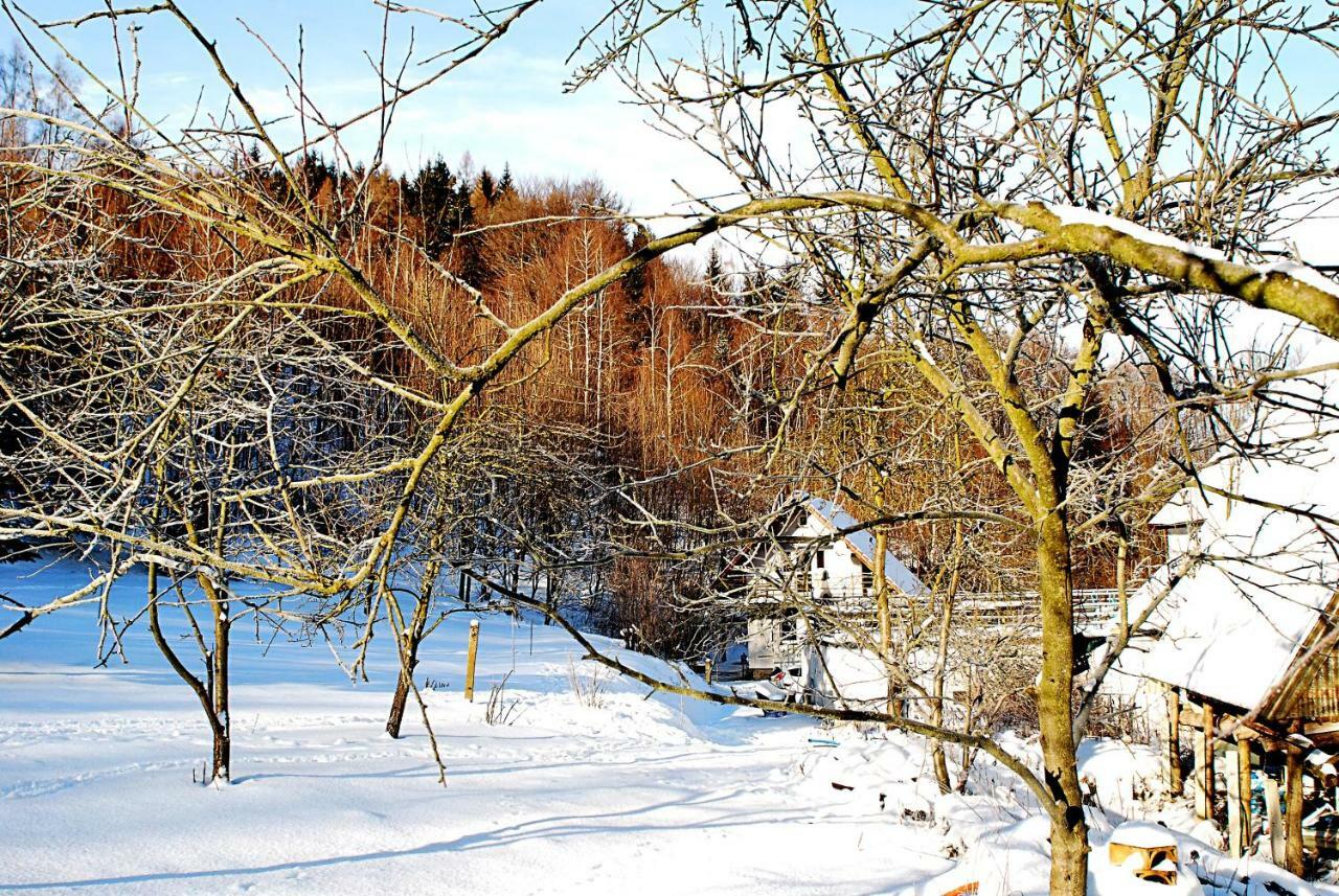 Biotanika Villa Michalkowa Bagian luar foto