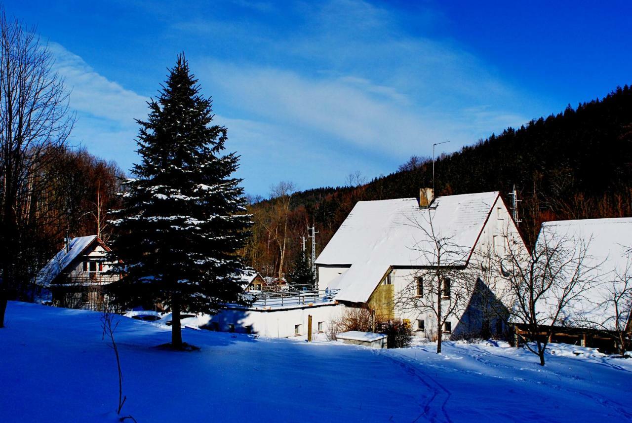 Biotanika Villa Michalkowa Bagian luar foto