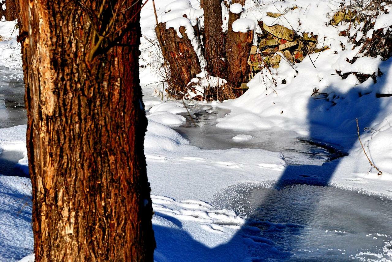 Biotanika Villa Michalkowa Bagian luar foto