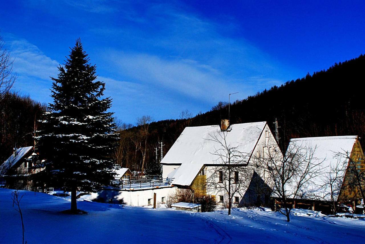 Biotanika Villa Michalkowa Bagian luar foto